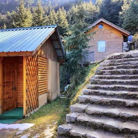 Mid Conifer Cottage Далхаузі Екстер'єр фото