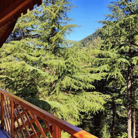 Mid Conifer Cottage Далхаузі Екстер'єр фото