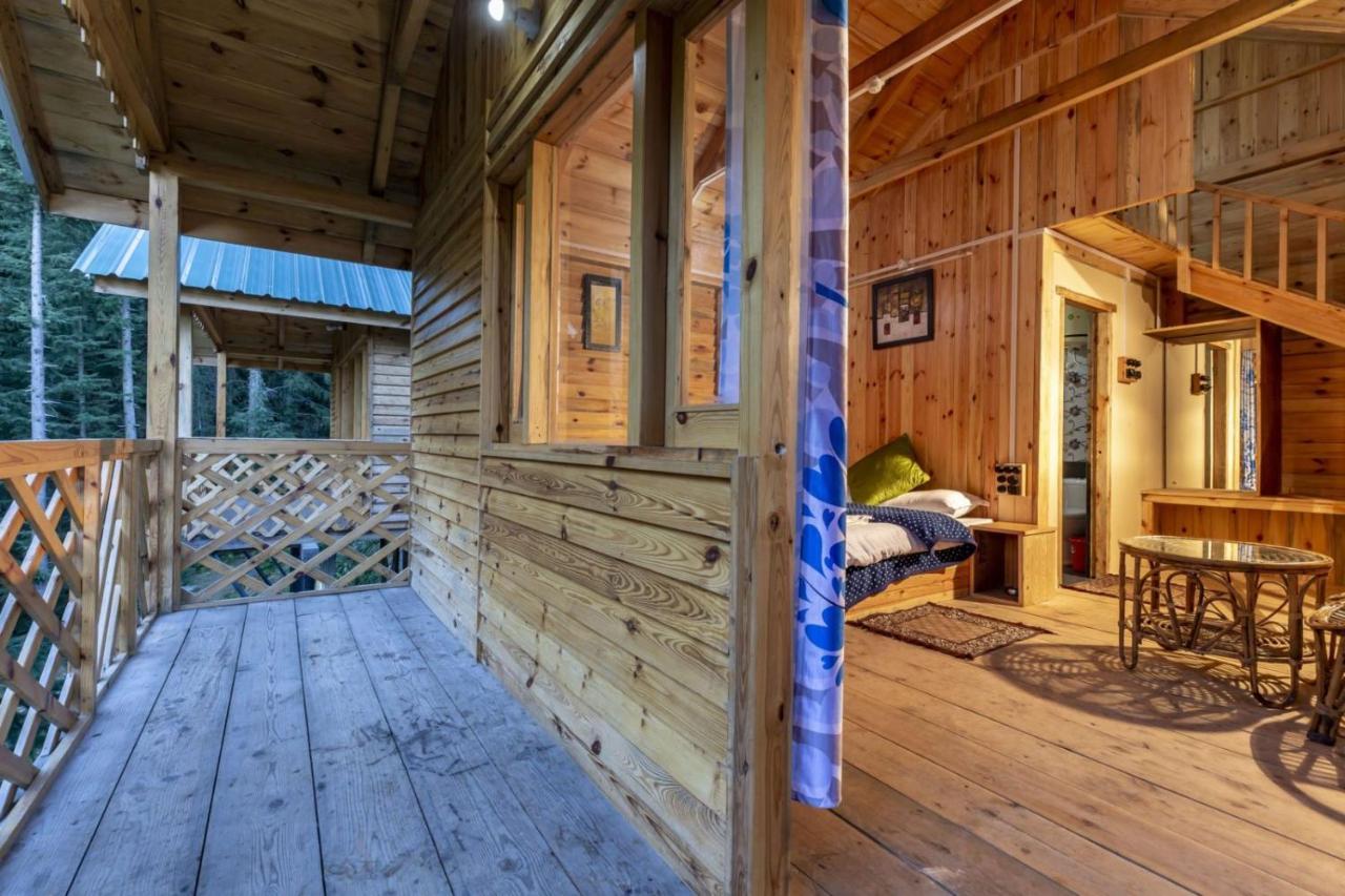Mid Conifer Cottage Далхаузі Екстер'єр фото