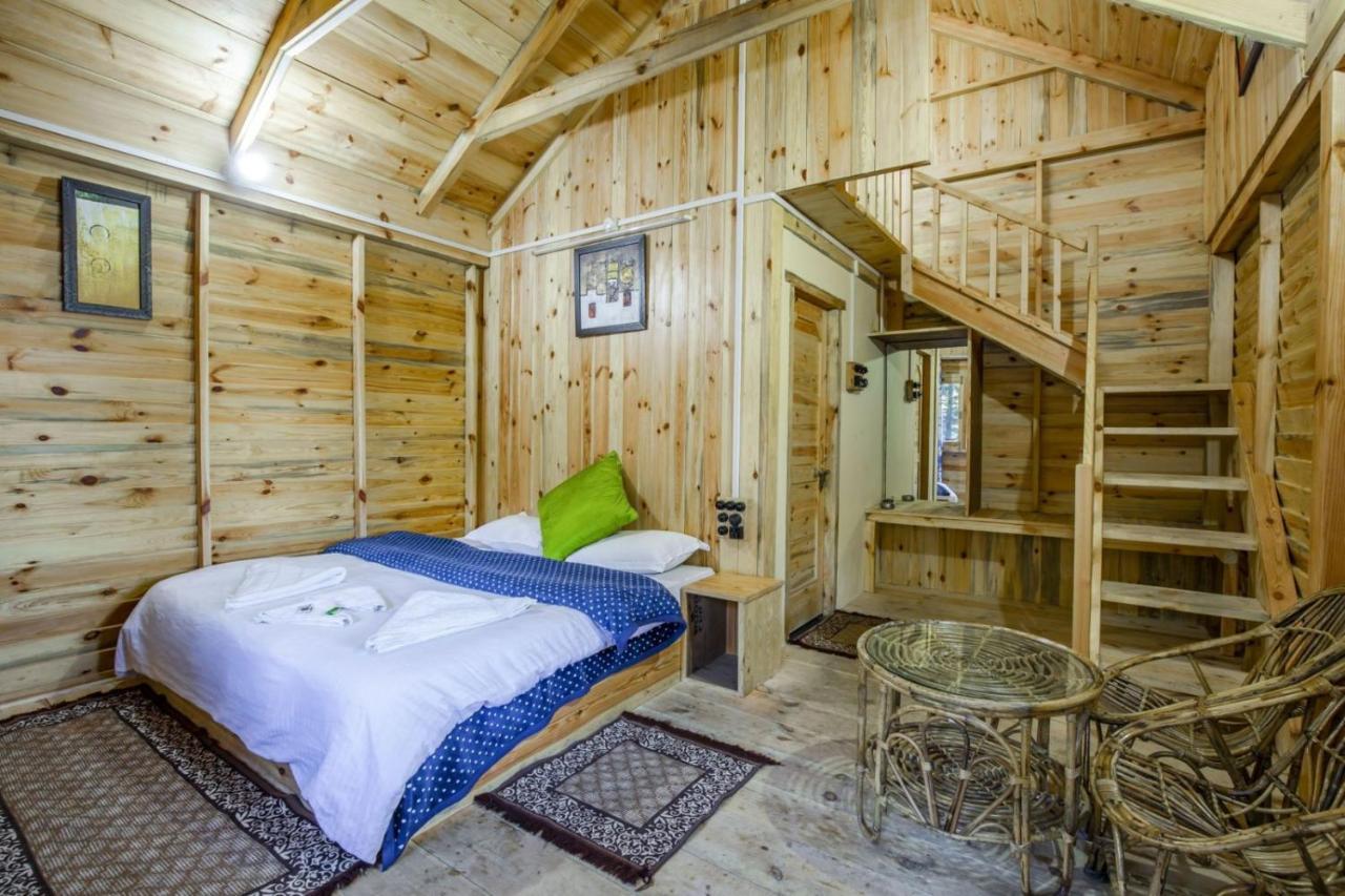 Mid Conifer Cottage Далхаузі Екстер'єр фото